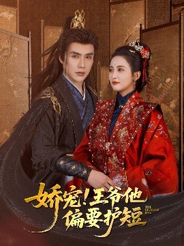 娇宠王爷他偏要护短